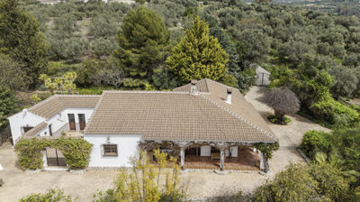 1471-villa-for-sale-in-periana-55358-large