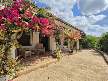 1471-villa-for-sale-in-periana-55313-large