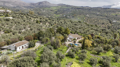 1471-villa-for-sale-in-periana-55355-large
