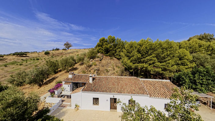 Image No.3-3 Bed Villa for sale