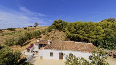 1472-villa-for-sale-in-alcaucin-55481-large