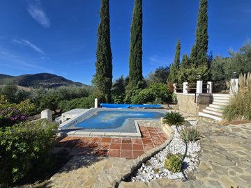 1479-villa-for-sale-in-banos-de-vilo-periana-