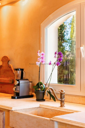 Image No.18-Villa de 5 chambres à vendre à Protaras