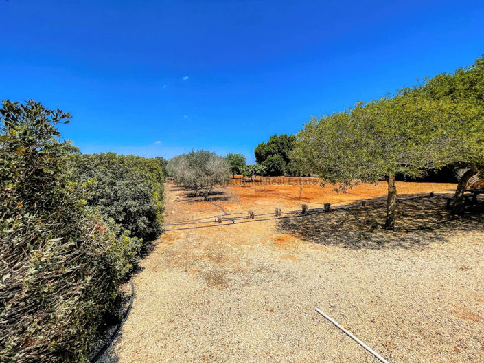 Image No.8-Villa de 5 chambres à vendre à Famagusta