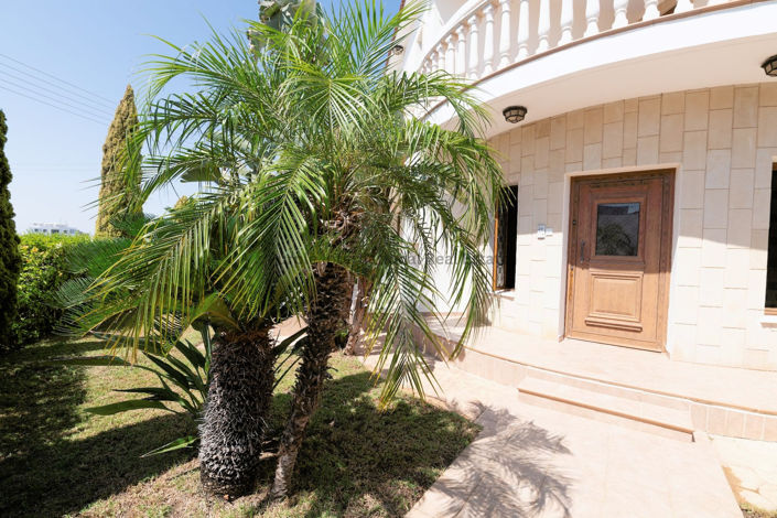 Image No.41-Villa de 3 chambres à vendre à Paralimni