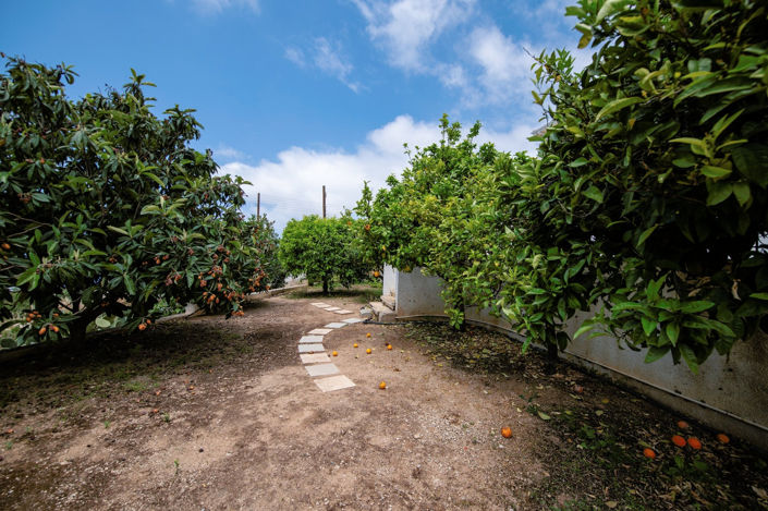 Image No.34-Villa de 5 chambres à vendre à Tala