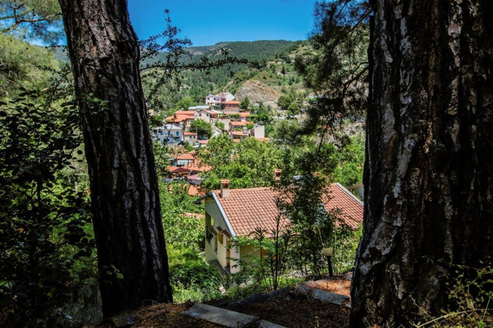 Image No.31-Villa de 3 chambres à vendre à Foini