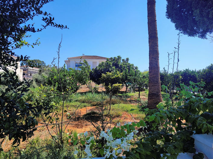 Image No.4-4 Bed Villa for sale