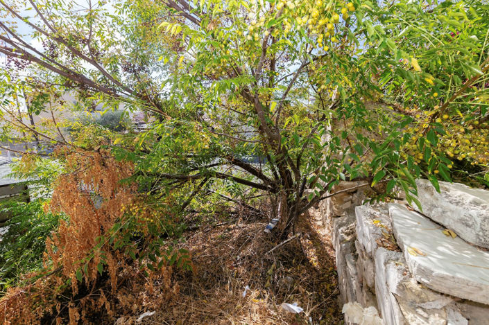 Image No.22-1 Bed Villa for sale