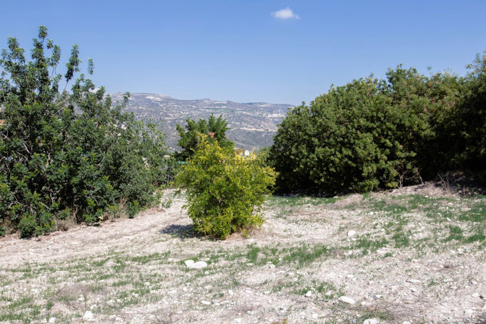 Image No.3-Maison de 1 chambre à vendre à Vavla