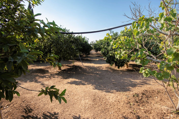 Image No.51-5 Bed Villa for sale