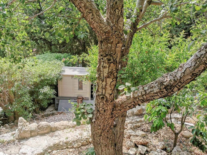 Image No.19-3 Bed Villa for sale