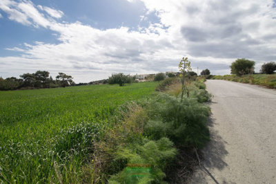 hd1080