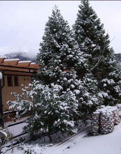 Image No.17-Hotel for sale