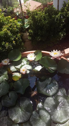 Image No.18-Hotel for sale