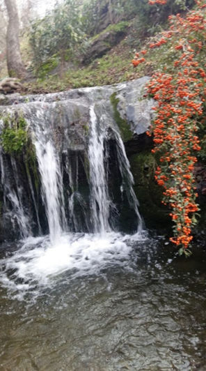 Image No.19-Hotel for sale