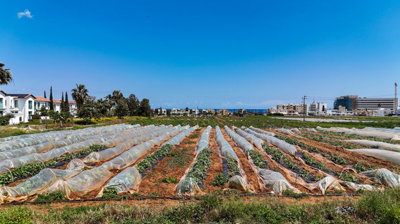 1 - Ayia Triada, Land