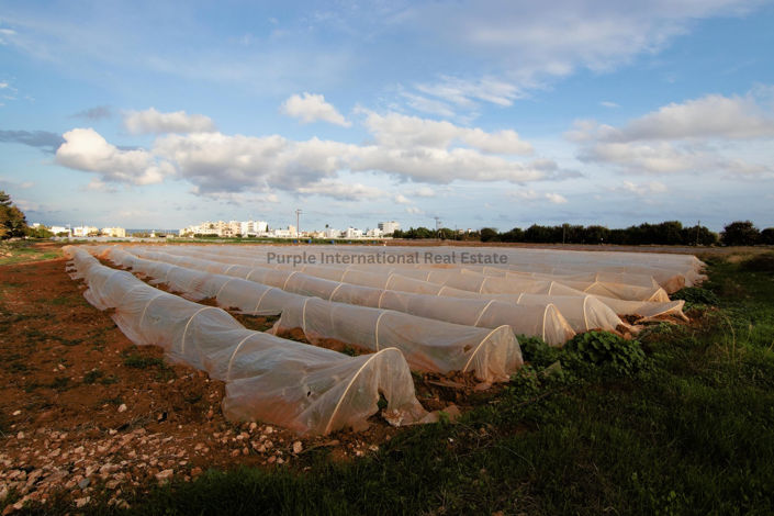 Image No.2-Land for sale