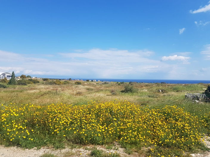 Image No.1-Plot for sale