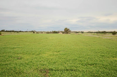 hd1080