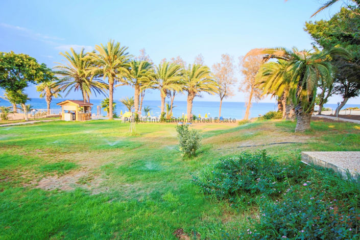 Image No.2-Terre à vendre à Protaras