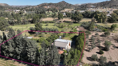 Purple International Real Estate most sold property