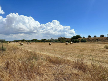 hd1080