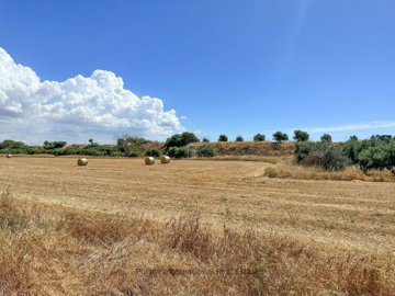 hd1080