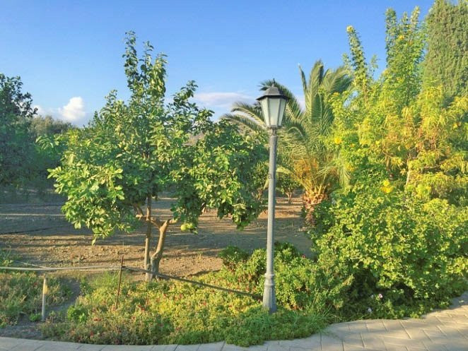 Image No.19-4 Bed Villa for sale