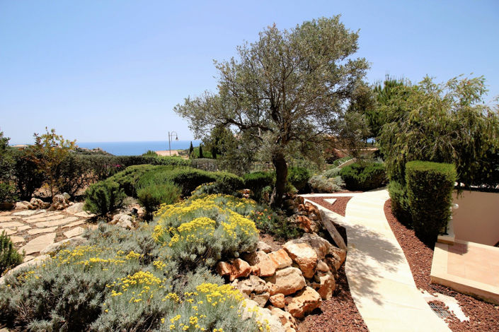 Image No.42-Villa de 4 chambres à vendre à Aphrodite Hills