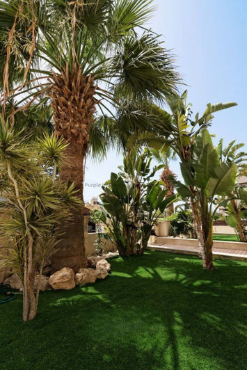 Image No.39-Villa de 6 chambres à vendre à Universal