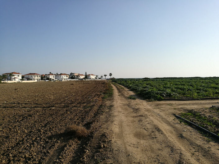 Image No.5-Terre à vendre à Kiti