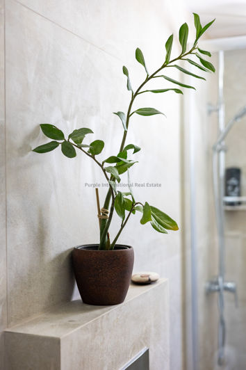 Image No.27-4 Bed Villa for sale