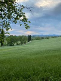 Tuscany-Property-for-Sale-Italy---AZ-Italian-Properties--8-