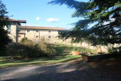 Farmhouse-for-Sale-Tuscany---AZ-Italian-Properties---Villa-for-sale-Tuscany--7-