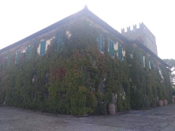 Property-for-sale-Tuscany---Farmhouse-for-sale-Arezzo-Siena-Tuscany--9-