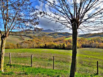 Stonehouse-for-Sale-Val-d-Orcia-Tuscany--54-