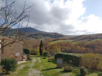 Stonehouse-for-Sale-Val-d-Orcia-Tuscany--17-