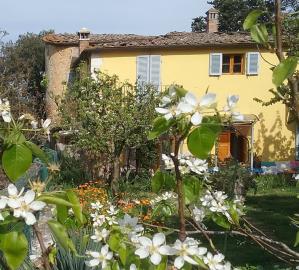 Rural-House-for-Sale-Serre-di-Rapolano-Castle-Tuscany---AZ-Italian-Properties-for-Sale-Tuscany--1-