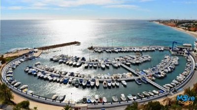 mohn69217515-image-9-1024x573