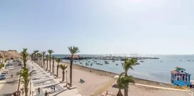 mohn66607515-image-10