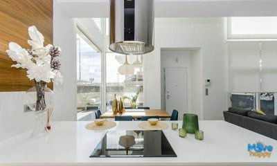 mohn32787515-image-4