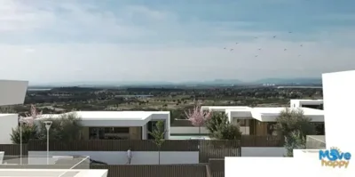 mohn63327515-image-1-1024x512