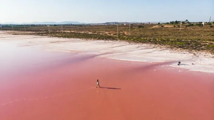 Image No.25-Appartement de 2 chambres à vendre à Torrevieja