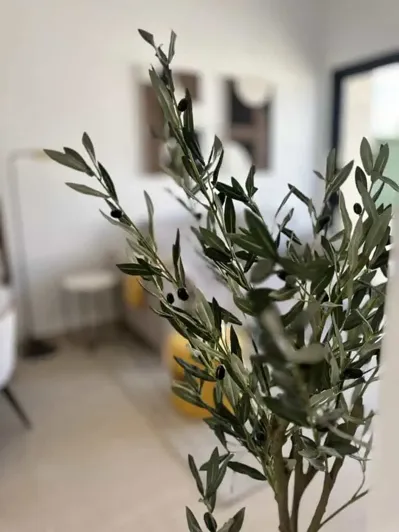 Image No.17-3 Bed Penthouse for sale