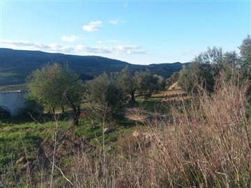 1396-land-for-sale-in-arboleas-37323389
