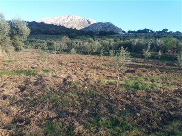 1396-land-for-sale-in-arboleas-97205394