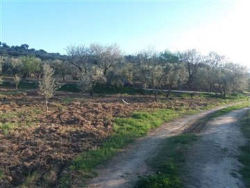 1396-land-for-sale-in-arboleas-8958770