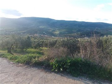 1396-land-for-sale-in-arboleas-93339991