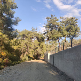 Exterior 15